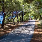 - Sidro كوسترينا