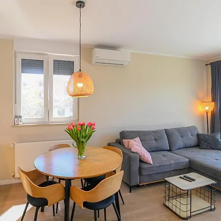 - Sidro * 科斯特雷纳