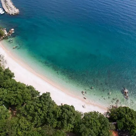 - Sidro 科斯特雷纳