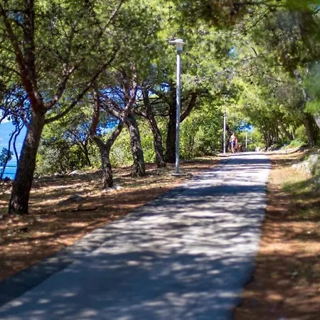 - Sidro 科斯特雷纳