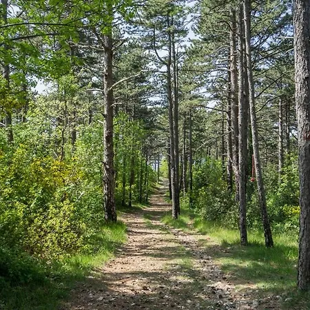 - Sidro * 科斯特雷纳